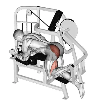 Lever Hip Extension (VERSION 2)