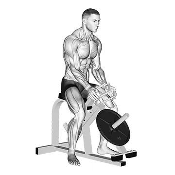 Lever Gripper Hands (plate loaded)