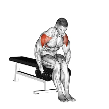 Dumbbell Seated Bent-Arm Lateral Raise