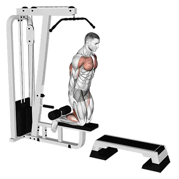 Inverse Leg Curl (on pull up cable machine)