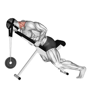 Weighted Lying Neck Extension (with head harness)