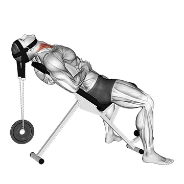 Weighted Lying Neck Flexion (with head harness)