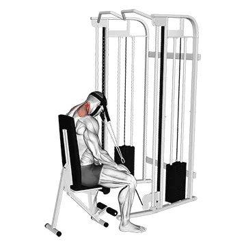 Cable Seated Neck Extension (with head harness)