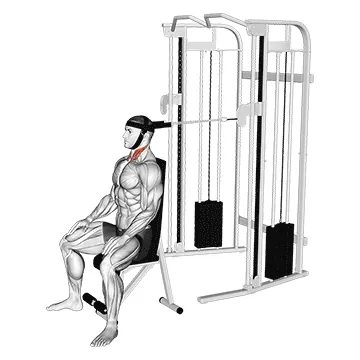 Cable Seated Neck Flexion (with head harness)