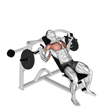 Lever Incline Chest Press (plate loaded)