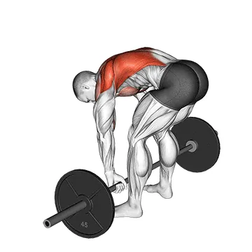 Barbell Row