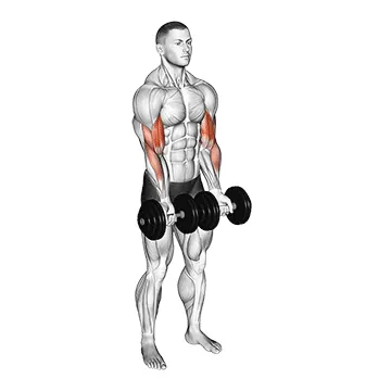 Dumbbell Close-Grip Curl