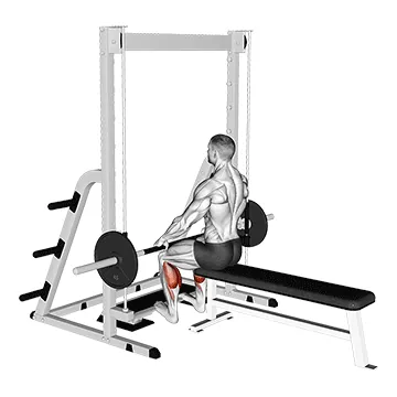 Smith Machine Seated Calf Raise