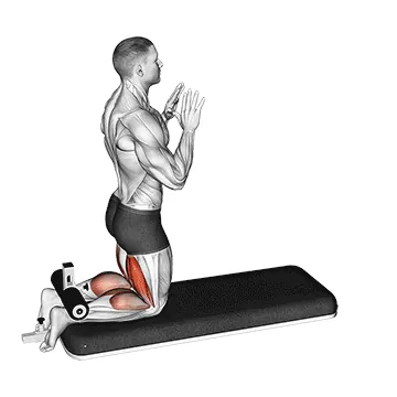Inverse Leg Curl with Bench Pads