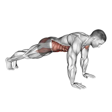 Plank on Hands