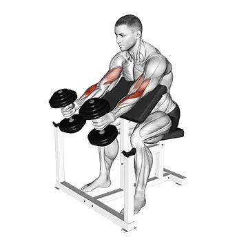 Dumbbell Hammer Preacher Curl