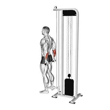 Cable Standing Back Wrist Curl
