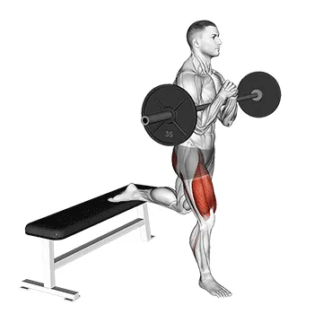 Barbell Zercher Bulgarian Split Squat
