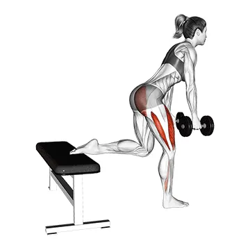 Bulgarian Split Squat
