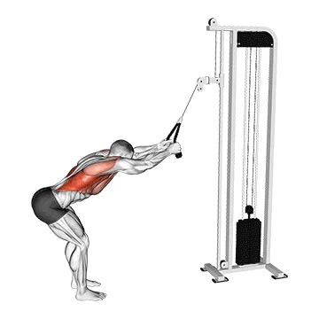 Cable Straight Arm Pulldown (with rope attachment)