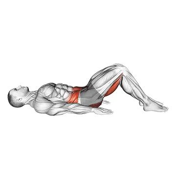 Hamstring Bridge