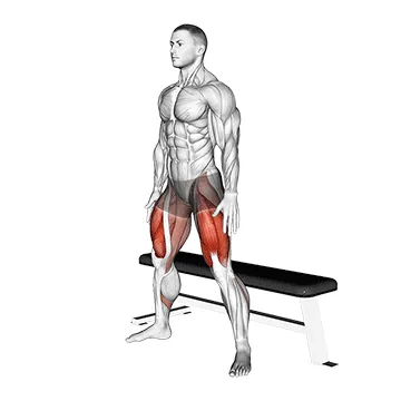 Wide Bench Air Squat