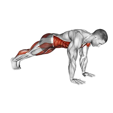 Plank Leg Lift Mountain Climber